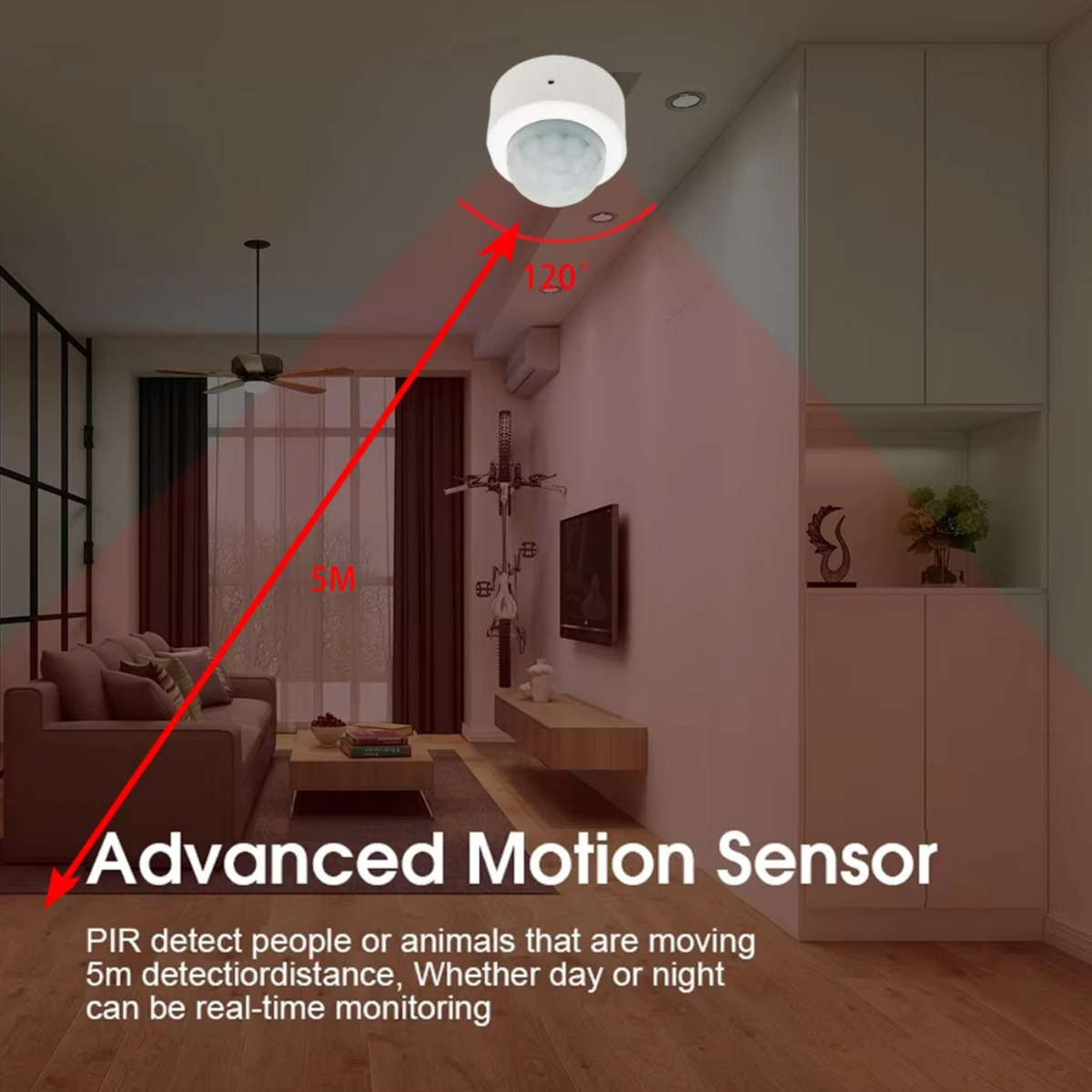 Zigbee PIR Motion Sensor Human - Home Security Gadgets review and price