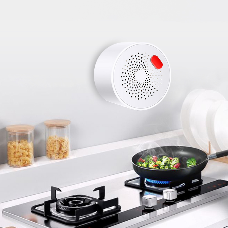 Tuya Smart Home Wifi Natural G - Home Security Gadgets review and price
