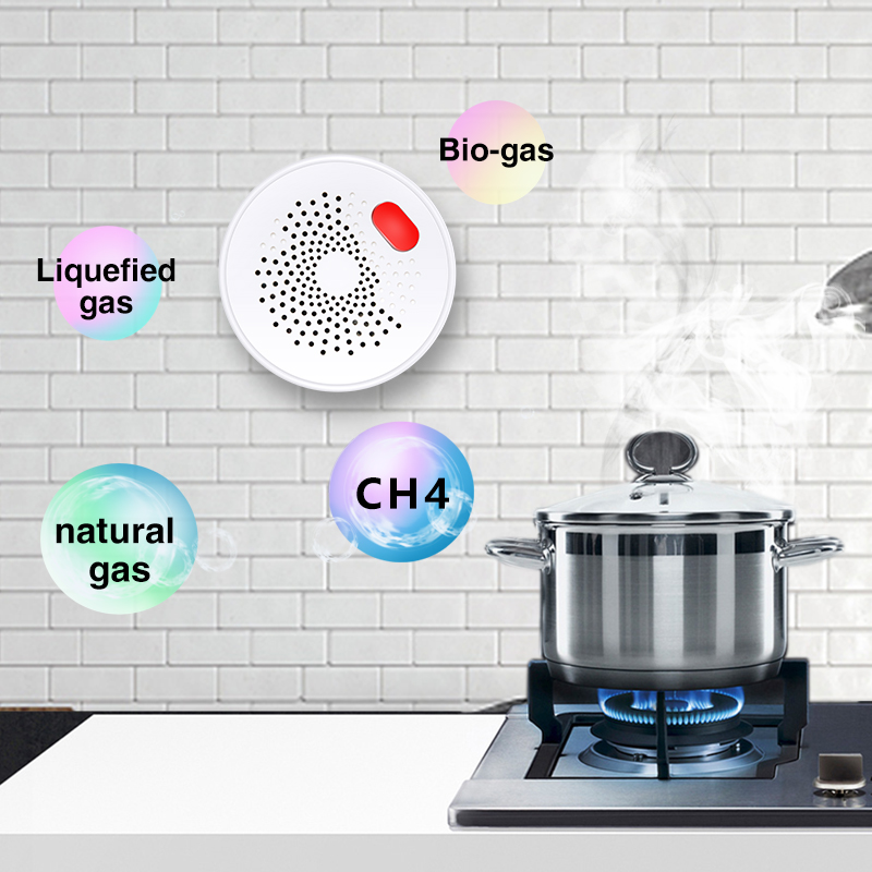 Tuya Smart Home Wifi Natural G - Home Security Gadgets review and price